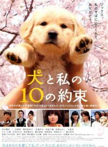 10 promises to my dog vostfr torrent