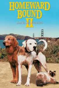 Homeward Bound II: Lost in San Francisco (1996)